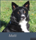 Matti