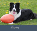 Jingles