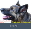 Sheila