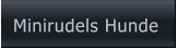 Minirudels Hunde Minirudels Hunde